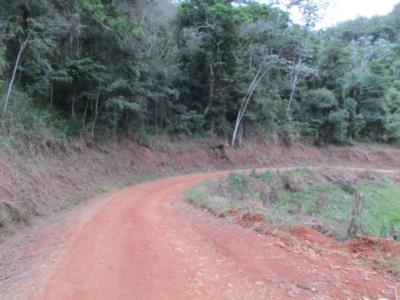 Estradas de Água Fria e Pimenta, recebem serviços de limpeza