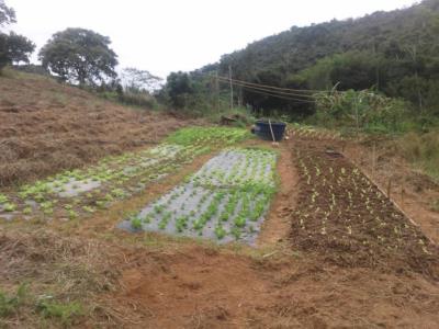 Prefeitura mais próxima do homem do campo