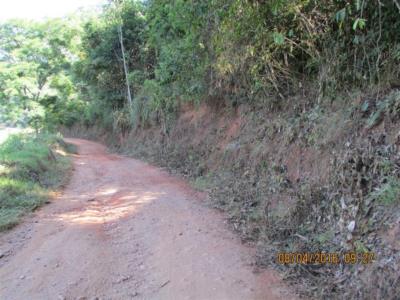 Patrolamento e limpeza das estradas vicinais do município